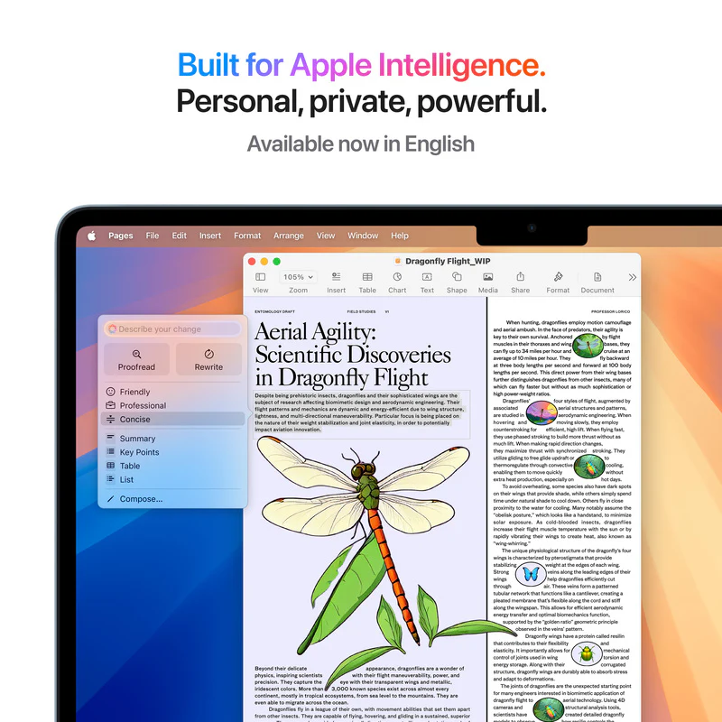 Apple MacBook Air 13, 13.6-inch display, M4, 16GB RAM, 256GB Storage, English-Arabic Keyboard, Sky Blue (2025) - Image 6
