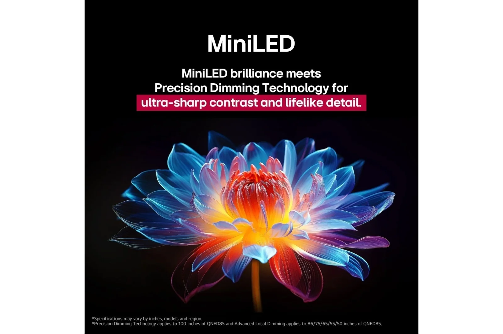 LG 65-inch QNED evo AI QNED86 MiniLED 4K 120Hz Smart TV with AI Magic remote, webOS25 (2025) - Image 5